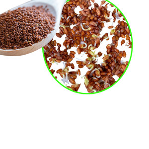 Cress | สมุนไพรใบรสเลิศ | ส่วนผสมจากธรรมชาติเกษตร - Product Image 4