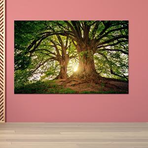 Toile imprimée : Paysage forestier, vue sur la nature, décoration moderne, toile enveloppée 1P - Product Image 1