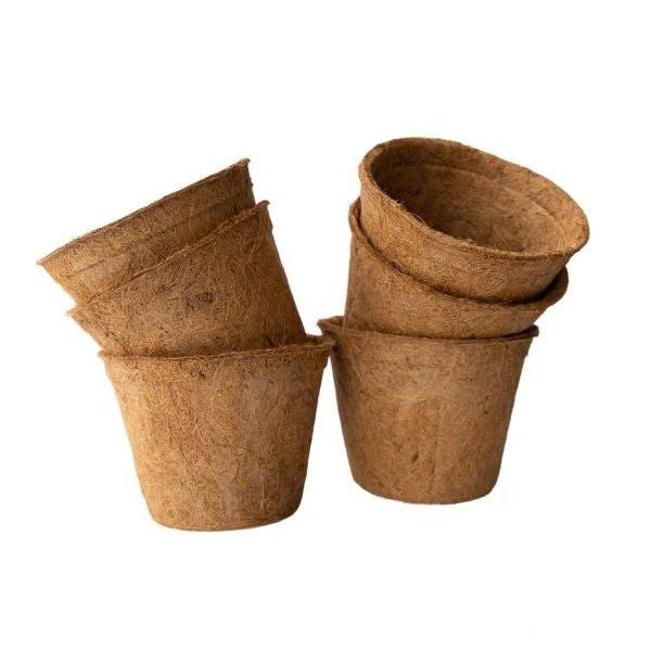 ธรรมชาติ