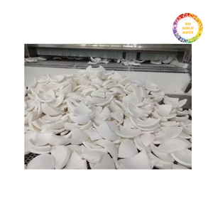 ก้อนมะพร้าวแช่แข็งแบบอินทรีย์คุณภาพสูงตัดจากผู้ผลิตเวียดนาม - Product Image 2