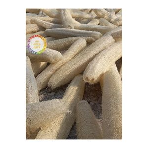 Esponja corporal de lufa de Vietnam, depurador de baño de fibra Natural, producto ecológico biodegradable para exportación y mercado minorista - Product Image 5