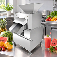 Presse-agrumes industriel en acier inoxydable de grande capacité pour oranges et citrons, style pression à froid