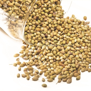 Thiết Bị Phân Loại Màu Hạt Cumin Bán Sỉ Nhà Máy Máy Máy Ngô Máy Phân Loại Rau Mùi - Product Image 2