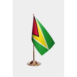 Drapeaux de bureau personnalisés de la Guyane 3x5 pieds, imprimés numériquement, divers matériaux (nylon, polyester, vinyle, tissu de soie), pour l'assurance automobile et l'éducation - Product Image 2