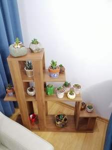 Solid Buffalo Bone Eco-friendly Durable Handmade Modern Rectangle Photo <b>Frame</b> <b>Large</b> Capacity Plant Display Storage Pot Trays - Product Image 5