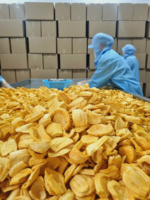 Chips de Jackfruit Vietnamiennes de Haute Qualité Séchées Sous Vide, Préservation Naturelle de la Douceur, Snack Croustillant en Vrac