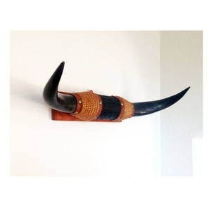 Décoration murale artisanale en corne de taureau écologique avec un design animal moderne, taille personnalisée, paire de cornes de buffle antiques - Product Image 6