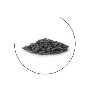 Lentilles noires en vrac de qualité supérieure pour l'emballage alimentaire Lentilles noires disponibles avec un goût naturel et une longue durée de conservation - Product Image 1