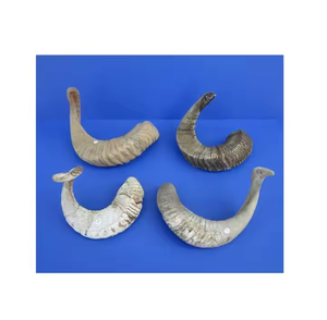 Corne de buffle faite à la main, polie, écologique, décoration moderne pour la maison, objet d'art de collection par Saniya Handicraft - Product Image 4