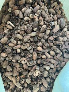 พรีเมี่ยมสินค้าเกษตรลูกจันทน์เทศในรูปแบบหัก/bwp - Product Image 3