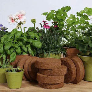 Meilleures ventes de disques en fibre de coco pour pots et contenants de plantes - Product Image 6