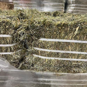 Granulés de foin de luzerne biologique à haute teneur en protien pour l'alimentation animale à vendre en vrac - Product Image 2