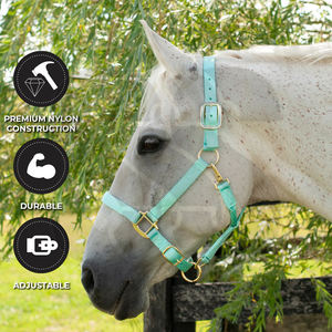 Premium Quality Good Supplier OEM ODM Nylon <b>Horse</b> Halter Adjustable <b>Brass</b> Hardware Durable Equestrian Stable Soft Padded - Product Image 2