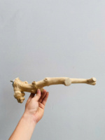 Friandises à mâcher écologiques en bois de café, d'olivier et de java pour chiens et perroquets de BLUE LOTUS VIETNAM