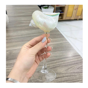 Copa de Caracol Copa de conchas marinas perfecta para la decoración del hogar Copa de Caracol funciona bien en diseños de estilo oceánico DIY - Product Image 5