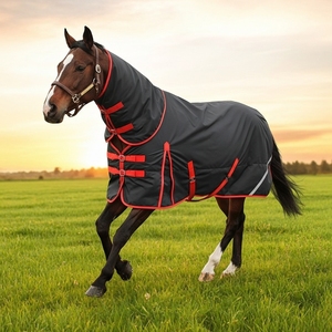 Couverture de cheval personnalisée tapis de cheval hiver imperméable léger robuste chaud hiver cheval tapis de participation couverture imperméable - Product Image 1