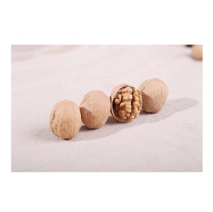Noyaux de noix décortiqués de haute qualité, fournisseur brésilien, prix bas, noyaux de noix en deux parties - Product Image 5