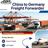 Agent maritime professionnel en Chine, transitaire aérien et maritime DDP, service FBA pour les petits vendeurs, transitaire vers les États-Unis