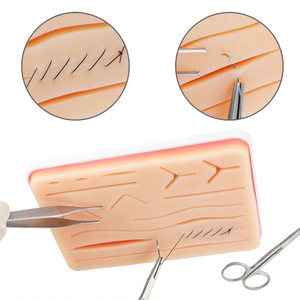 Wholesale Durable Medical Anatomy Teaching Tools Suture <b>Practice</b> <b>Pads</b> for Medical Students Ce Certified ISO Approved - Product Image 3