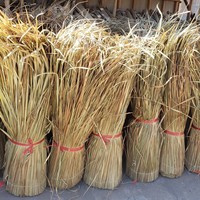 Panneau de tuile de paille rouleaux de toiture de chaume d'herbe naturelle rouleaux de couverture en gros feuille de palmier rouleaux de chaume pour tiki hut bar bâtiment