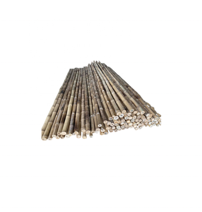 Fabricant de variétés Taille des poteaux de bambou/Canne de bambou naturelle Projet de construction Décoration Agriculture agricole - Product Image 6