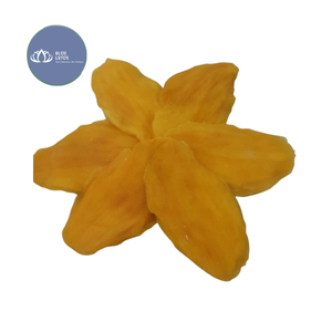 [BEST SELLER] |   Tranches de mangue séchées moelleuses, fruits tropicaux |   Collation moelleuse pour supermarché, marque privée OEM, Vietnam - Product Image 1