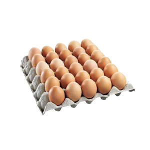Huevos marrones disponibles a precio económico para compras al por mayor con stock confiable - Product Image 1
