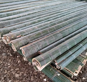 Natural <b>Bamboo</b> <b>Material</b> Green <b>Bamboo</b> Split - Split Half Cut <b>Bamboo</b> Poles Natural <b>Materials</b> Wholesale - Product Image 4
