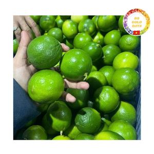 นอกเหนือจากการบีบอัด: การปฏิวัติมะนาวไร้เมล็ดของเวียดนามสดราคาไม่แพงเลือกขายส่งที่2025ของคุณ! - Product Image 5