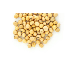 La mejor calidad, por encargo, venta al por mayor, soja de gran venta, rendimiento de alto costo, grado alimenticio, soja amarilla no OGM - Product Image 1