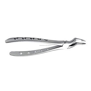 Răng Chiết Xuất forceps cho thấp hơn răng cửa rễ mô hình tiếng anh hình 51S thép không gỉ nha khoa khai thác cụ - Product Image 5