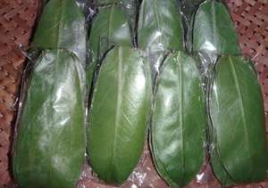 Vietnam Feuille de corossol séchée de qualité supérieure Meilleur prix Graviola Feuille de corossol séchée de qualité supérieure pour le thé Vendeur à forte demande prêt pour l'exportation - Product Image 6