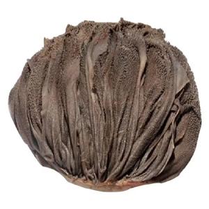 Carne Omasum completamente procesada y seca: rica en nutrientes, limpiada con agua dulce y preparada para el almacenamiento de exportación a largo plazo - Product Image 2