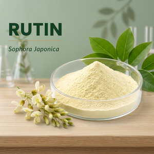 Rutin Powder Sophora Japonica Herbal Extract Food Grade 95% Active <b>Marker</b> HPLC Certified Fine Powder for Nutrition Health - Product Image 2