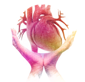 ماكينة EECP/ماكينة قلب و PSK EECP بتوريد المصنع - Product Image 3