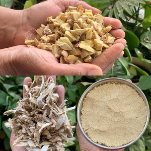 Meilleur prix Poudre de racine de gingembre biologique Légumes frais d'Inde Forte demande Stimulation énergétique et soutien du cœur - Product Image 3