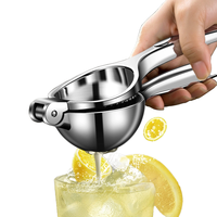 Presse-agrumes manuel multifonctionnel en métal écologique de style moderne pour fruits et légumes, outil de pressage portable pour la maison
