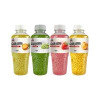Boisson Prête à Boire Stérilisée OEM Concentré de Raisin Vert et Graines de Chia 450ml Bouteille PET Riche en Fibres Faible en Matières Grasses Boisson Saine aux Fruits