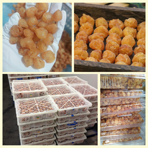 Exportar estándar seco Longan Vietnam tendencia producto para mayor enfoque y relajación natural AA grado suministro al por mayor - Product Image 4