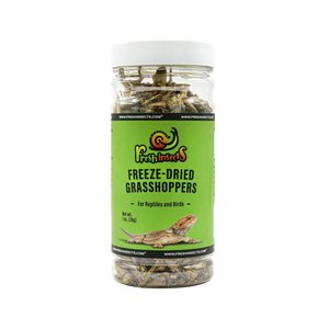 Grillos Secos Premium, Orgánicos, Limpios e Ideales para una Alimentación Saludable y Aumento de Proteínas - Product Image 3