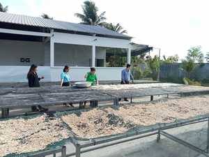 ชาทุเรียนเทศแห้งผสมผสานระหว่างรสชาติเขตร้อนและประโยชน์ต่อสุขภาพอย่างลงตัว - Product Image 2