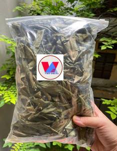 ใบส้มโอแห้งธรรมชาติ 100% ใบหอมสำหรับทำอาหาร สปา และการบำบัดเพื่อสุขภาพ คุณภาพพรีเมียมสำหรับการส่งออก - Product Image 1