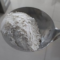Lime SP poudre blanche traitement de l'eau chaux hydratée poudre de calcaire prix par kg 325 maille 200 maille haute pureté chaux vive 90%