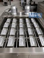 Machine à fabriquer des blocs de glace industriels alimentée à l'énergie solaire, personnalisable, avec système de panneaux solaires pour les entreprises