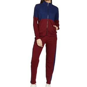 Wholesale Unisex Casual Sportswear Plus Size Eco-Friendly Solid Hooded Two-Piece Winter Outdoor Tracksuits - Product Image 1