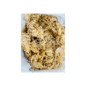 สาหร่าย Eucheuma cottonii จากเวียดนามผ่านกรรมวิธีอย่างรอบคอบเพื่อความบริสุทธิ์และคุณภาพที่เหมาะสม - Product Image 5