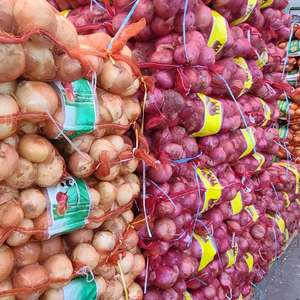 Attractive Irrésistible Exclusive Opportunity Oignon rouge frais du Viet Nam pour importateur et grossiste (+ 84983028718) - Product Image 5