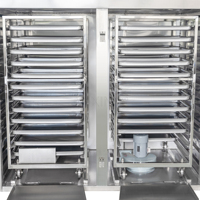Secador de temperatura constante de hierbas para alimentos, horno de secado de frutas y verduras, horno de circulación de aire