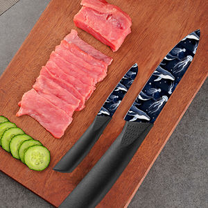 Lot de 2 ébauches de couteaux de cuisine en céramique, personnalisables, livraison rapide, prix d'usine, qualité supérieure, en plastique, pour dropshipping sur eBay - Product Image 6