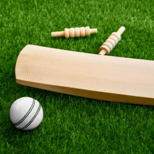ไม้แข็งสีขาวสำหรับเด็กเล่นคริกเก็ตไม้แข็งขนาด3ออกแบบโลโก้ได้ตามต้องการ - Product Image 4